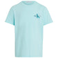 Calvin Klein Mint Blue T shirt