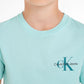 Calvin Klein Mint Blue T shirt