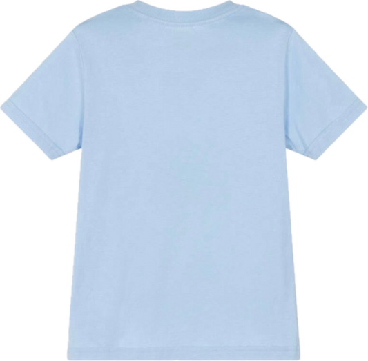 RALPH LAUREN BLUE T SHIRT 832904