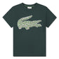 LACOSTE BOYS DARK GREEN T SHIRT 947073