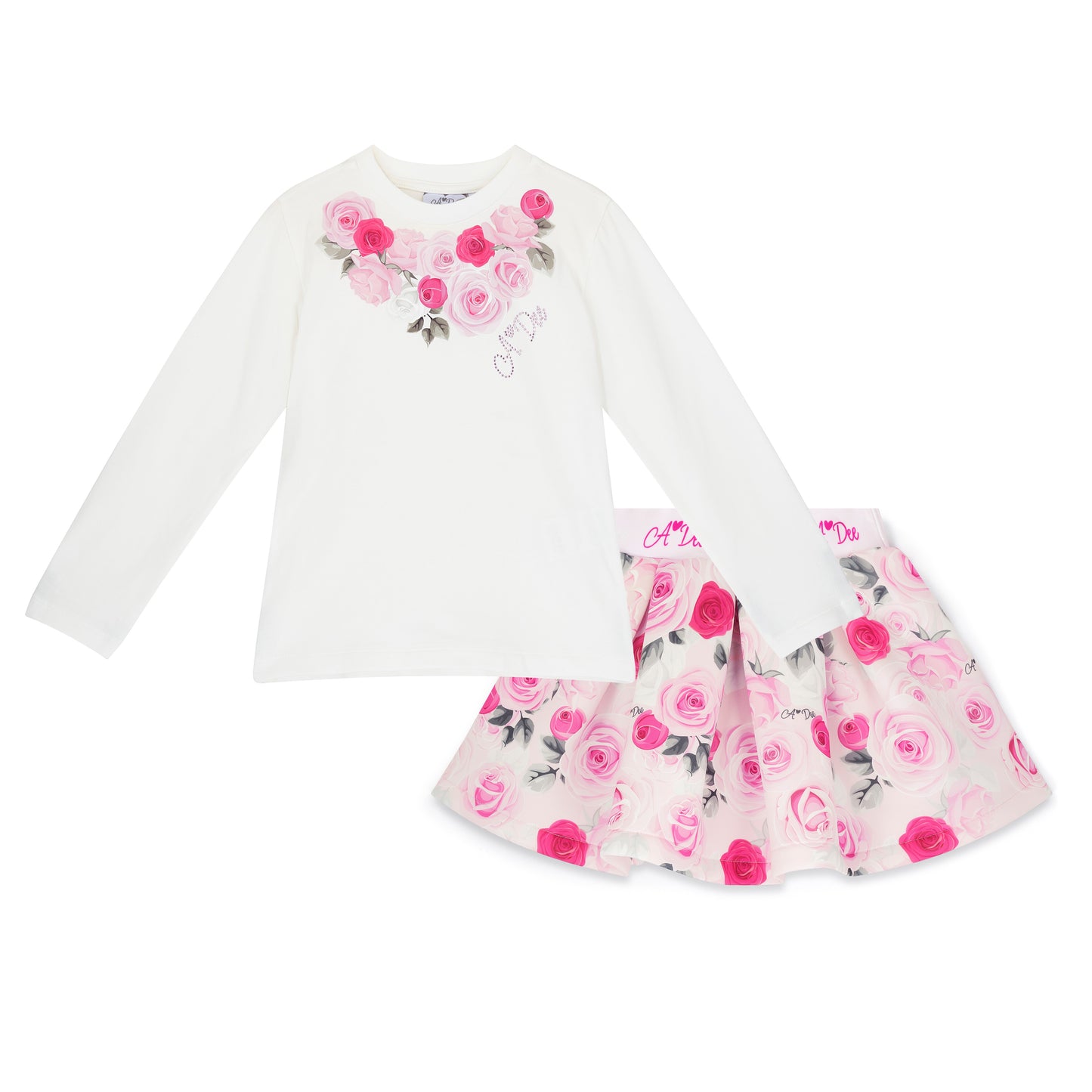 A DEE ARIELLA ROSE PRINT SKIRT SET W261505